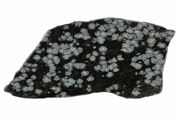Polished Snowflake Obsidian Section - Utah #117764